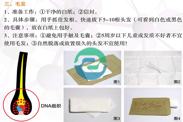 中山亲子鉴定的收费标准是怎样的？亲子鉴定费用介绍