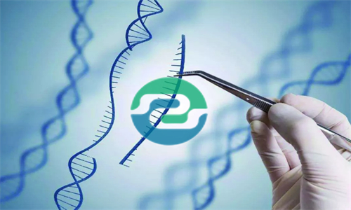 发现怀孕可以做中山亲子鉴定吗？可以保护隐私吗？