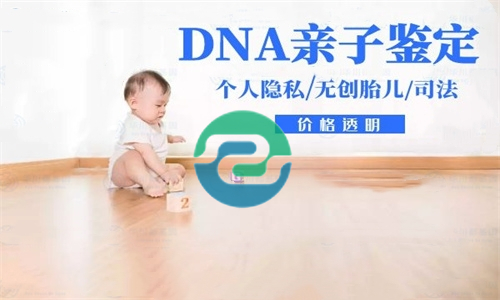 中山可以做亲子鉴定吗？测验起来难不难？