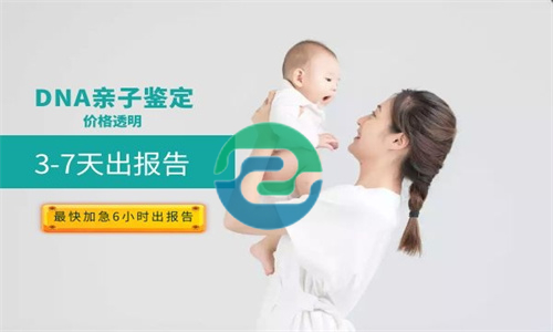 在中山做亲子鉴定要花多少钱？哪家机构可以做？