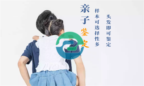 中山办理亲子鉴定要多少钱？有哪些不同？