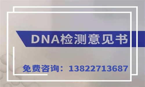 中山哪里有DNA鉴定机构？需要哪些材料和流程？