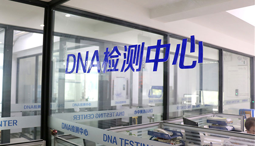 权威DNA鉴定机构，检测报告全国有效!