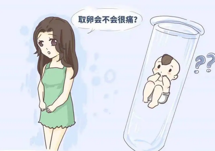 现在去做试管婴儿有哪些流程步骤？